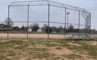 Diamond Baseball Cages in Kansas City: Benefits & Design Ideas